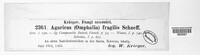 Bolbitius titubans image